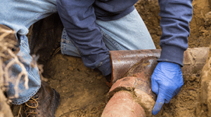 person looking at sewer line damage